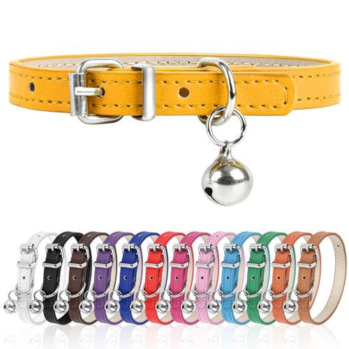 Engorgio XXS Hundehalsband für Teetasse, verstellbares Teetassen-Hundehalsband für kleine, mittelgroße und große Hunde, 0,95 cm Breite (XXS, Gold) von Engorgio