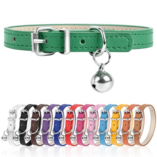 XXS Hundehalsband für Teetasse, verstellbares Teetassen-Hundehalsband für kleine, mittelgroße und große Hunde, 0,95 cm breit, Grün, XXS von Engorgio