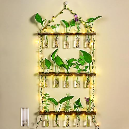 Enhon Anzuchtstation Wandbehang Pflanze Terrarium mit LED String Light Holzständer Anzuchtstation 16 Reagenzgläser, Wandmontierte Vase Pflanzgefäß für Hydrokultur Pflanze Schneiden Blume, Wohnkultur von Enhon