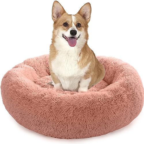 Enjamoy Hundebett Flauschig Donut Plüsch Katzenbett Hundekissen, Waschbar Rund Hundebetten für Kleine, Mittelgroße Hunde Katzen, Rosa 70cm von Enjamoy