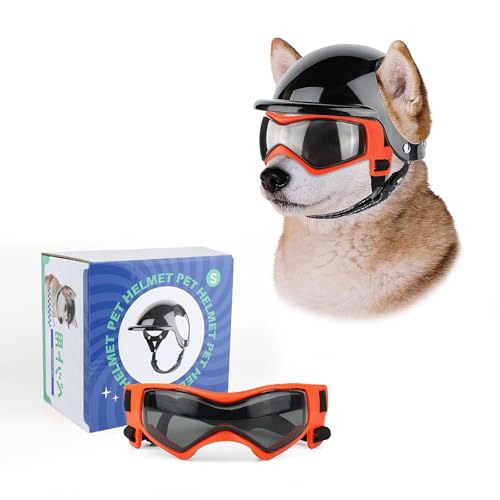 ENJOYING Kleine Hundebrille mit Helm, Hartschalenhelm und Welpen-Sonnenbrille für kleine, mittelgroße Hunde, Augen-/Kopfschutz, UV-Schutz, winddicht, schneefest, Orange von Enjoying