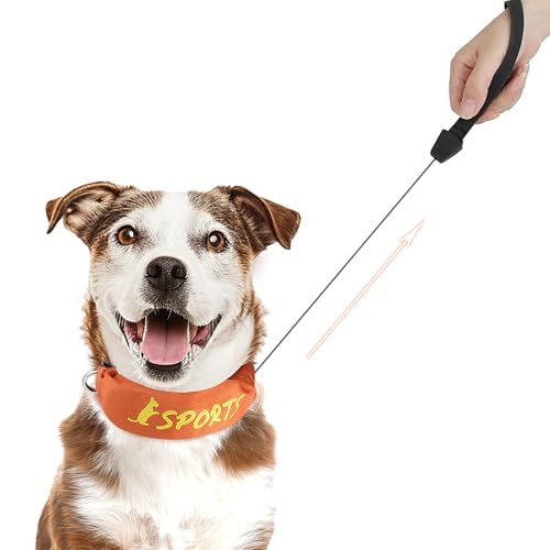 Enjoying Self-Leash-Hundehalsband für mittlere und große Hunde, einteiliges Hundehalsband mit integrierter einziehbarer Leine, verstellbares Halsband, Orange von Enjoying