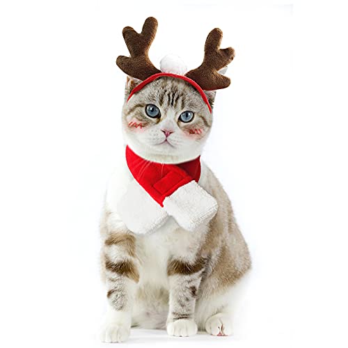 Enjoying Katze Weihnachten Kostüm Geweih Hut mit Xmas Schal Kleine Hund Santa Geweih Stirnband Outfit Welpen Rentier Hut Katze Bekleidung von Enjoying