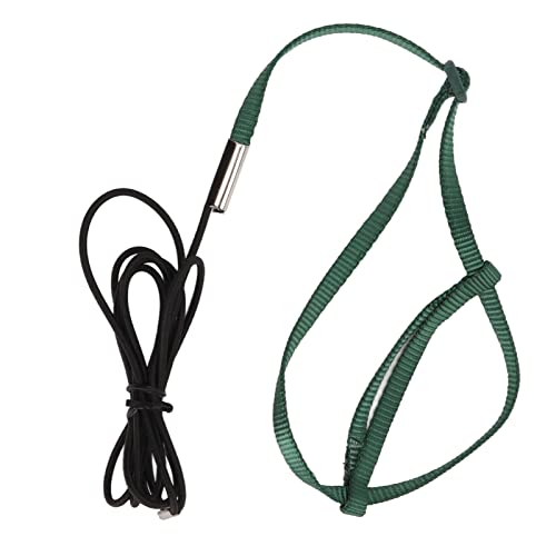 Bird Harness Leash, Bissfestes Elastisches Vogeltrainingsseil für Lovebird(Grün, L) von Entatial