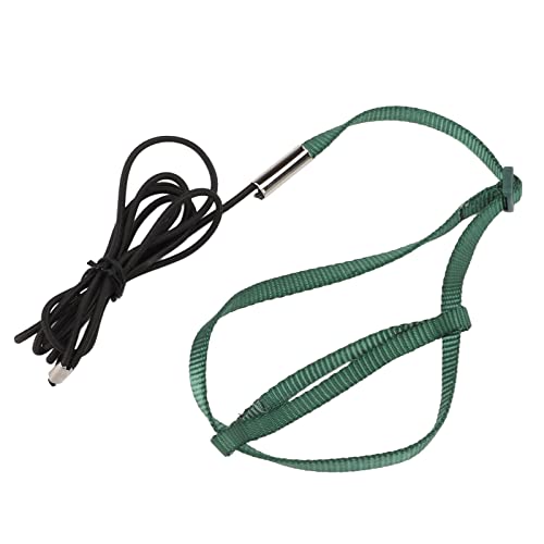 Bird Harness Leash, Bissfestes Elastisches Vogeltrainingsseil für Lovebird(Grün, S) von Entatial