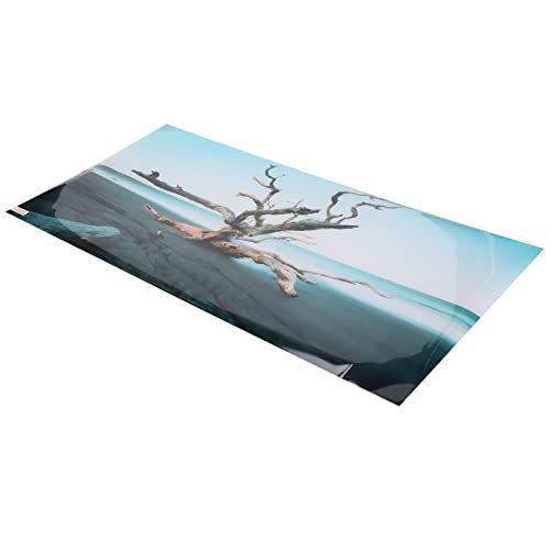 Entatial Aquarium Hintergrunddekoration 3D verwelkter Himmelsbaum Wasserdichtes Aquarium Hintergrund Poster für Aquarium von Entatial