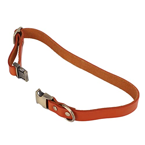 Entatial Leder Gepolstertes Hundehalsband, Klar Modisch Atmungsaktiv Klassisches gepolstertes Lederhalsband Personalisiert Wasserdicht für Hunde für Katzen(Orange, m) von Entatial