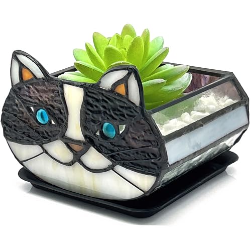 Entlityful Kaktus-Katzen-Pflanzgefäß, niedlicher kleiner Buntglas-Katzen-Pflanzgefäß, Katzen-Terrarium-Pflanzgefäß für Tisch-Zimmerpflanzen, Geschenke für Katzenliebhaber (Blumentopf enthält keine von Entlityful