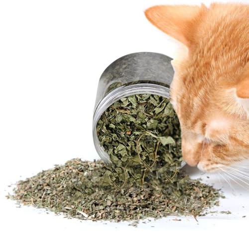 Eoixuqba 4 Getrocknete Gemahlene Katzenminze, 40g Catnip Herrb, Natürliche Katzenminze, Dried Ground Catnip, Hochwirksame Pflanze Zur Haarentfernung Bei Katzen, Zahnreinigung, Katzenminze von Eoixuqba