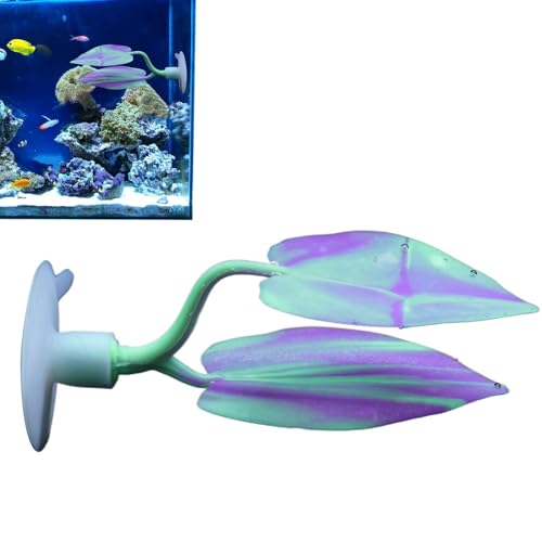 Eoixuqba Betta-Fischpflanze, Betta-Blätter,Laichplätze für Fische, Brutstätte, Ruhebett | Natürlicher Lebensraum für Fische, Betta Fish Hammock Plant Leaves Pad, Fish Rest Aquarium Plant Ornaments zum von Eoixuqba