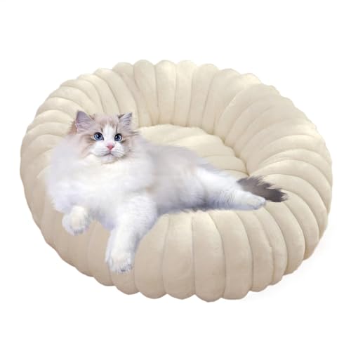 Eoixuqba Donut-Hundebett – 40 cm, kleines Donut-Katzenbett, cremefarben, Donut-Katzenbetten für Indoor-Katzen, Plüsch-Donut-Haustierbett, Hundebett, Donut-Haustierbett, weiches rundes von Eoixuqba