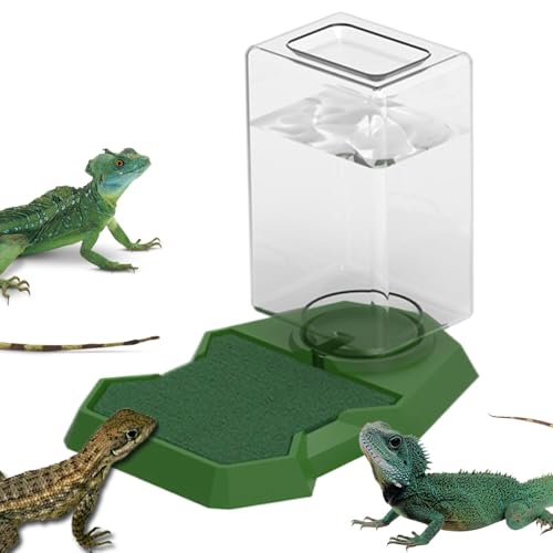 Eoixuqba Reptilien-Wasserspender, automatische Reptilien-Wasserschale mit Flasche, Schildkrötenfütterung und Bewässerungszubehör für Geckos, Frosch, Eidechsen von Eoixuqba