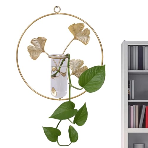 Eoixuqba Wandmontiertes Glaspflanzen-Terrarium | Hängender Wand-Pflanztopf mit Metallhalter – Luftpflanzen-Glasbehälter, Wanddekoration mit Metallrahmen von Eoixuqba