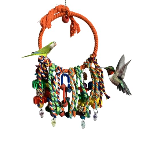 Eoixuqba Wellensittich Schaukel - Bunter Ring Schaukel Vogel Spielzeug - Sittich Käfigzubehör Interaktives Spielzeug Zum Klettern Spielen Innen Außen Für Papageien Liebesvögel Eoixuqba Wellensittich Schaukel - Bunter Ring Schaukel Vogel Spielzeug - Sittich Käfigzubehör Interaktives Spielzeug Zum Klettern Spielen Innen Außen Für Papageien Liebesvögel von Eoixuqba