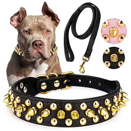 Epesiri Hunde Halsband, Hunde Kette mit Nieten, Leder, mit Leine, Schwarz, Größe S von Epesiri