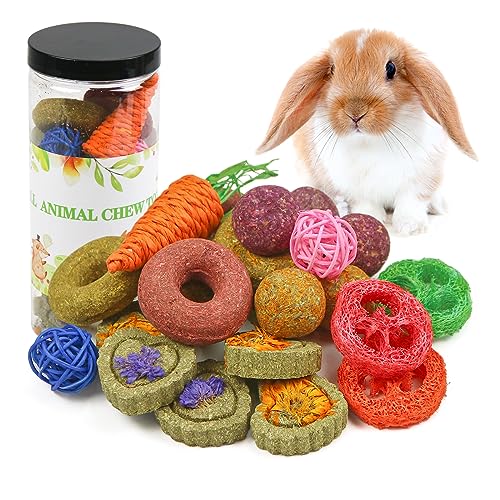 Episkey Kauspielzeug für Kaninchen, Meerschweinchen, Rennmäuse, Hamster, Chinchilla, Kauspielzeug für Zähne, Kleintiere, Backenzähne, Leckerlis, 22 Stück (A) von Episkey