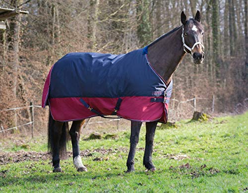 Pferde Outdoordecke Weidedecke Equitheme TYREX 1200 Denier 50g Füllung, wasserdicht, atmungsaktiv, Kreuzgurte, Schweiflatz, 125 cm von Equi-Theme