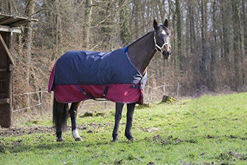 Pferdedecke Outdoor Decke Equitheme TYREX 1200 Denier Nylon Innenfutter, wasserdicht, atmungsaktiv, Kreuzgurte usw. 145 cm von Equi-Theme