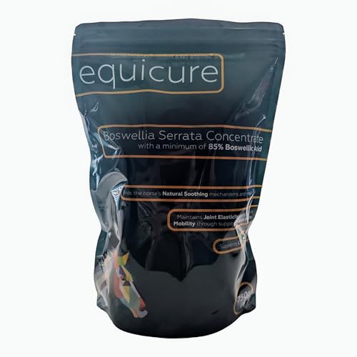 Equicure Boswellia Serrata Konzentrat Pulver für Pferd/Pony (750 g Nachfüllung) von Equicure