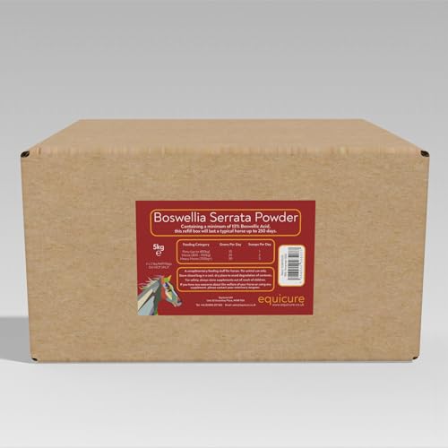 Equicure Boswellia Serrata Pulver für Pferd/Pony (5kg Nachfüllung) von Equicure