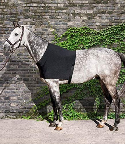 Equiline Brustschutz -Edinburgh- (L, schwarz) von Equiline