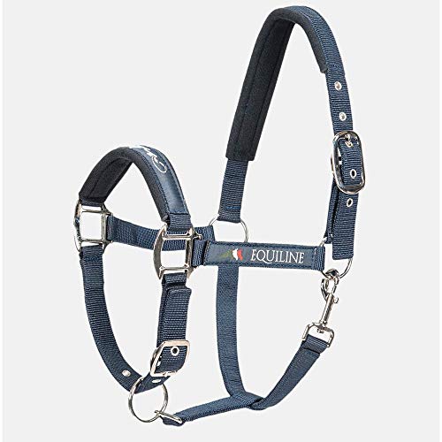 Equiline Halfter Timmy, Stallhalfter Größe Warmblut, Farbe Blue von Equiline