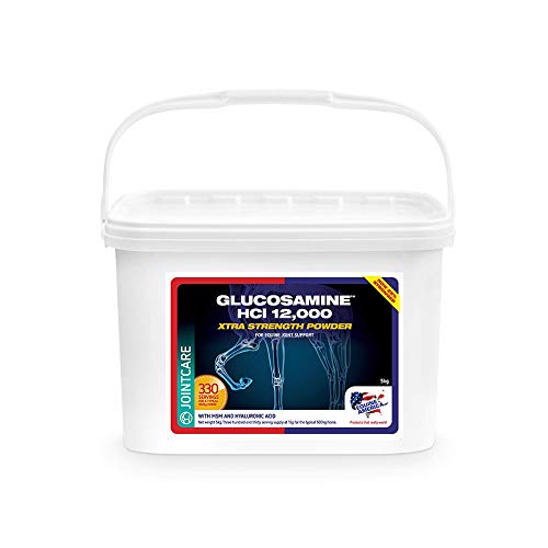 Equine America Glucosamin HCI 12000 | Premium gebrauchsfertiger Ernährungszusatz für Pferd und Pony| Unterstützung für Gelenke und Mobilität | 5kg von Equine America UK