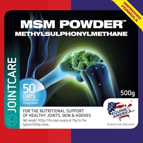 Equine America MSM Pulver | Premium bereit für die Nutzung von Horse & Pony Supplement | Unterstützung für Gelenke | 500g. von Equine America UK