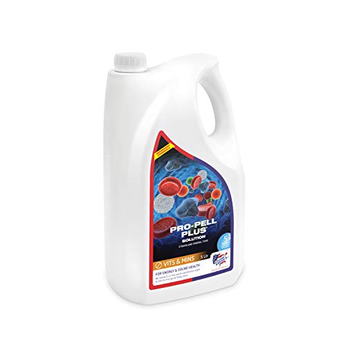 Equine America Pro-Pell Plus® | Premium gebrauchsfertiger Ernährungszusatz für Pferde und Ponys | Für Energie und Gesundheit | 5 L von Equine America UK