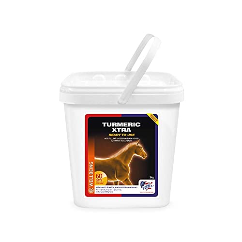 Equine America Tumeric (3.5KG) von Equine America UK