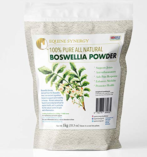 100% reines All Natural Boswellia Pulver 1kg Effektive Bekämpfung von Schmerzen und Entzündungen - eine natürliche Alternative zu Bute von Equine Synergy