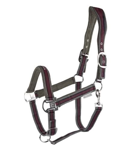 Equipride Anatomisches Nylon-Halfter, gepolstert, bequem, verstellbar, Pony, Mahagoni / Khaki von Equipride