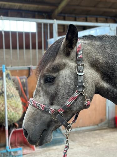 Equipride Geflochtenes Halfter, Führstrick, Set Größe Full-Shetland Pink/Grau (Full) von Equipride