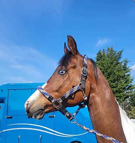 Equipride Geflochtenes Halfter Führstrick Set Größe Full-Shetland (Cob, Königsblau/Grau) von Equipride