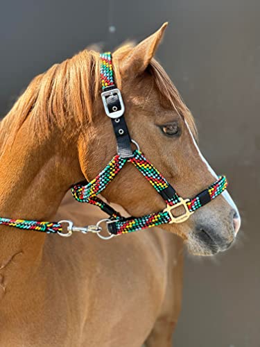 Equipride Geflochtenes Halfter Führstrick Set Größe Full-Shetland (Pony, Mehrfarbig) von Equipride