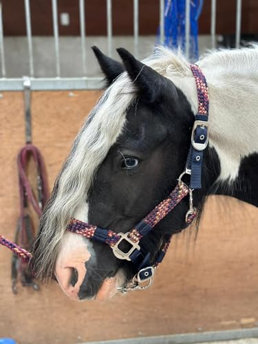 Equipride Geflochtenes Halfter Führstrick Set Größe Full-Shetland Flame (Pony) von Equipride