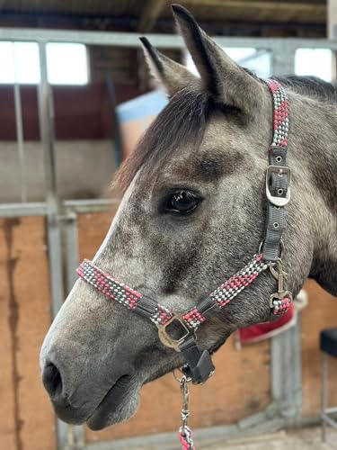 Equipride Geflochtenes Halfter Führstrick Set Größe Full-Shetland Pink/Grau (Pony) von Equipride