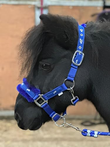 Equipride Gepolstertes Halfter mit Pferdemotiv, Nylon, mit Leine, Königsblau (Mini Shettland) von Equipride