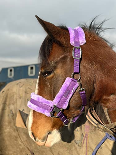 Equipride Glänzendes Halfter mit kleinen glitzernden Sternen, Kunstfell-Futter, Cob, Violett von Equipride