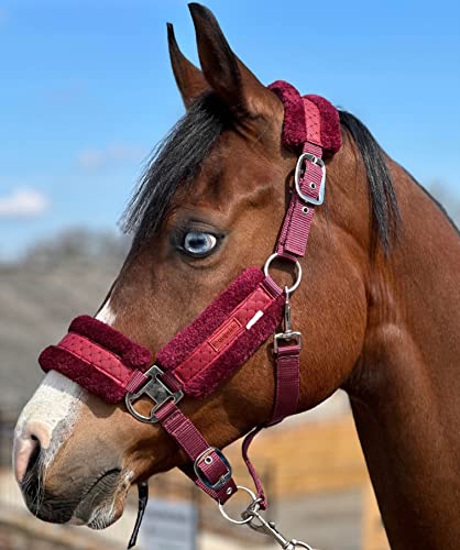 Equipride Glänzendes Halfter mit kleinen glitzernden Sternen, Kunstfell-Futter, Pony, Kastanienbraun von Equipride