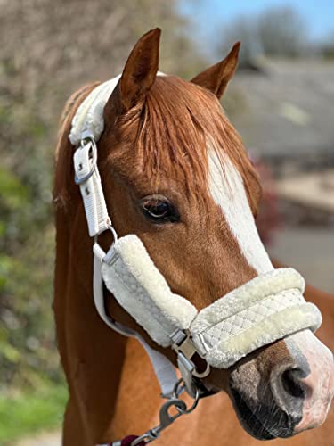 Equipride Glänzendes Halfter mit kleinen glitzernden Sternen, Kunstfell-Futter, Pony, Off-White von Equipride