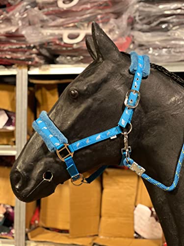 Equipride Halfter aus Nylon, mit Pferdemotiv, mit passendem Leinenseil, Hellblau (Shettland) von Equipride