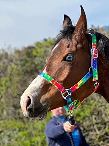 Equipride Halfter in Regenbogenfarben, mit passendem Führungsseil, Chrombeschläge, Größe Full bis Mini Shetland (Cob) von Equipride