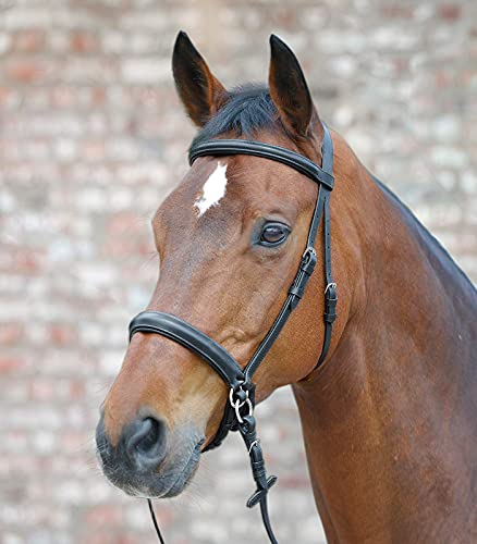 Equipride Leder-Zaumzeug, gebisslos, Scrawbig mit weichen Zügeln, Full – COB – Ponybraun (Pony) von Equipride