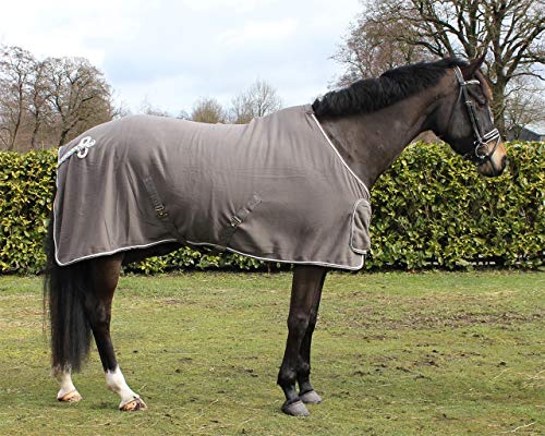 Equipride QHP Fleece-Teppich mit Ornamenten, Größe 137 cm - 19,1 cm, Grau/silberfarben von Equipride