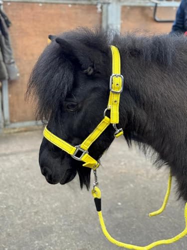 Equipride Reflektierendes Halfter und Führstrick-Set, Neopren, gepolstert, Full-Shetland, Neongelb (Cob) von Equipride