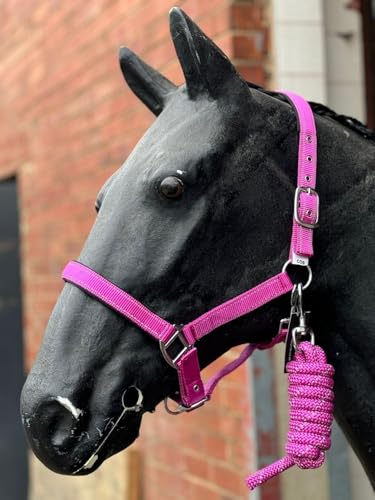 Equipride Reflektierendes Halfter und Führstrick Set Neopren gepolstert Full-Shetland Neon Pink (Pony) von Equipride