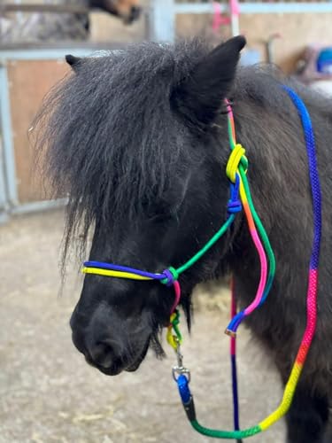 Equipride Seilhalfter mit Führstrick Regenbogen farbig Größe Full-Shetland (Pony) von Equipride