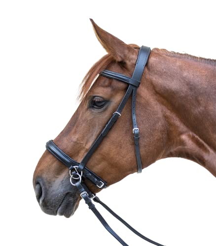 Equipride Zaumzeug aus Leder, mit weichen Rändern, Braun / Braun von Equipride