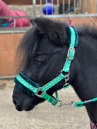 Halfter Führstrick Set mit Weihnachten Ho-Ho Print Grün Full-Mini Shetland (Cob) von Equipride